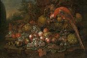 Francis Sartorius, Still life with fruits and a parrot